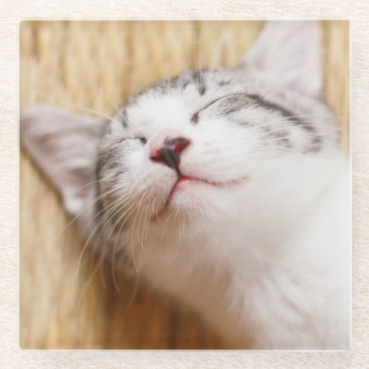 睡眠の子ネコ ガラスコースター (正面)