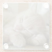 睡眠の子ネコ ガラスコースター (裏面)