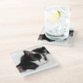 睡眠の子ネコ ガラスコースター (アングル)