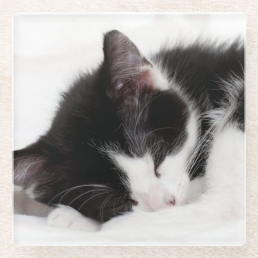 睡眠の子ネコ ガラスコースター (正面)