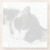 睡眠の子ネコ ガラスコースター (裏面)