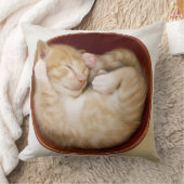 睡眠の子ネコ クッション (ブランケット)