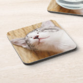 睡眠の子ネコ コースター (左側)