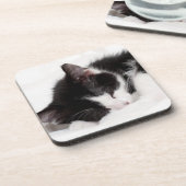 睡眠の子ネコ コースター (左側)