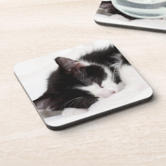 睡眠の子ネコ コースター (左側)
