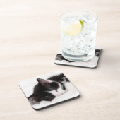 睡眠の子ネコ コースター (右側)