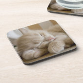睡眠の子ネコ コースター (左側)