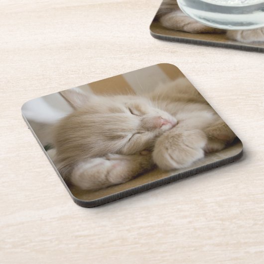 睡眠の子ネコ コースター (左側)