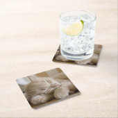 睡眠の子ネコ スクエアペーパーコースター (インサイチュ)