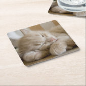 睡眠の子ネコ スクエアペーパーコースター (アングル)