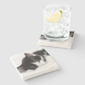 睡眠の子ネコ ストーンコースター (横)