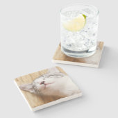 睡眠の子ネコ ストーンコースター (横)