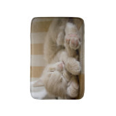 睡眠の子ネコ バスマット (正面縦)