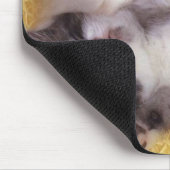 睡眠の子ネコ マウスパッド (コーナー)