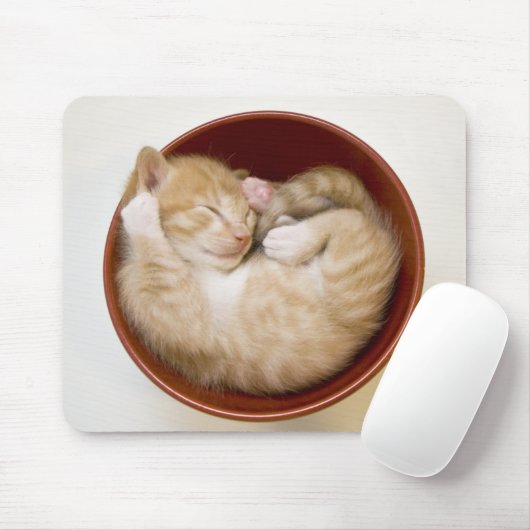 睡眠の子ネコ マウスパッド (マウス)