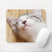 睡眠の子ネコ マウスパッド (マウス)
