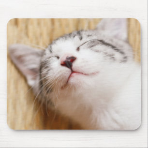 睡眠の子ネコ マウスパッド