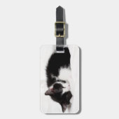 睡眠の子ネコ ラゲッジタグ (正面縦)