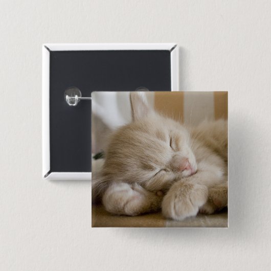 睡眠の子ネコ 缶バッジ (正面&裏面)