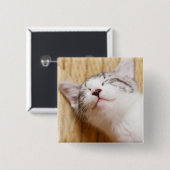 睡眠の子ネコ 缶バッジ (正面&裏面)