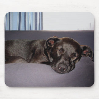 睡眠の子犬 マウスパッド