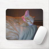 睡眠の子猫 マウスパッド (マウス)