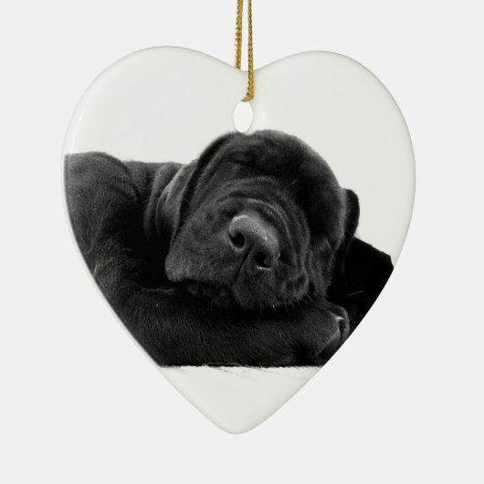 睡眠の実験室のオーナメント セラミックオーナメント (右)