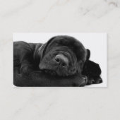 睡眠の実験室の小犬の名刺 名刺 (裏面)