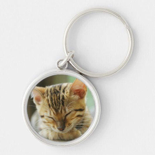 睡眠の小さいベビーの子猫 キーホルダー (正面)
