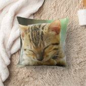 睡眠の小さいベビーの子猫 クッション (ブランケット)
