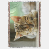 睡眠の小さいベビーの子猫 スローブランケット (正面縦)