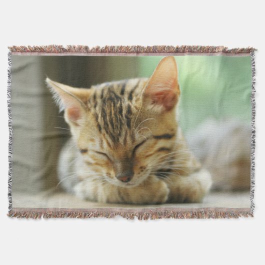 睡眠の小さいベビーの子猫 スローブランケット (正面)