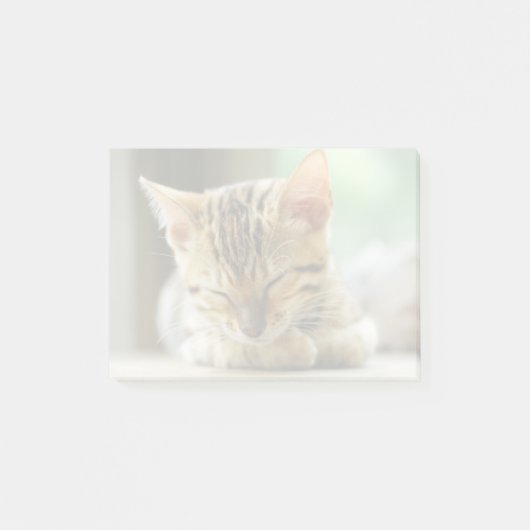 睡眠の小さいベビーの子猫 ポストイット (正面)