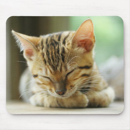 睡眠の小さいベビーの子猫 マウスパッド (正面)