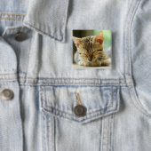 睡眠の小さいベビーの子猫 缶バッジ (インサイチュ)