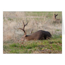 睡眠の木びき台はまたはケーキのための私を目覚めさせます