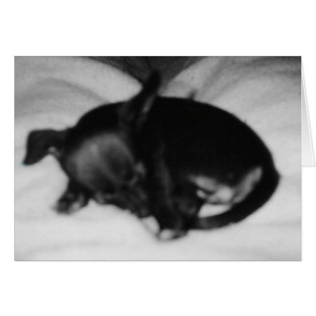 睡眠の潔白 (正面横)