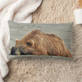 睡眠の灰色グマが付いている装飾用クッション ランバークッション (ブランケット)