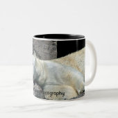 睡眠の白くまのマグ ツートーンマグカップ (正面右)