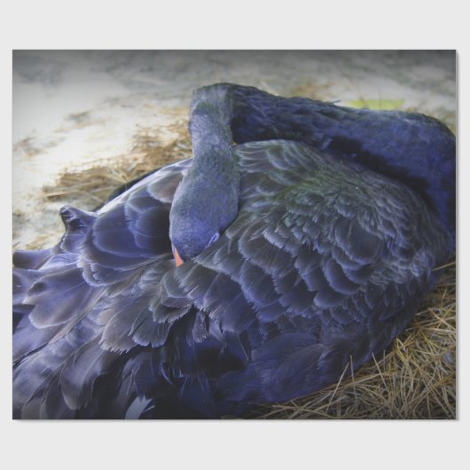 睡眠の白鳥 ラッピングペーパー (フラット)