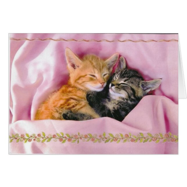 睡眠の相棒; Tuckered (正面横)