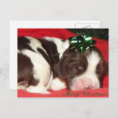 睡眠の英国のスプリンガースパニエルのクリスマスの子犬 シーズンポストカード (正面/裏面)