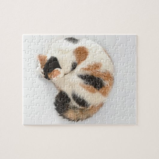 睡眠の茶色のぶち猫の写真のパズルおよびギフト用の箱 ジグソーパズル (横)