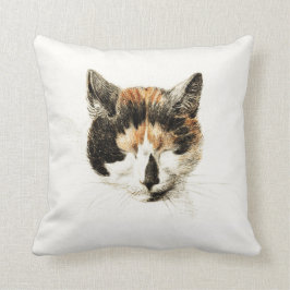 睡眠の茶色のぶち猫 クッション