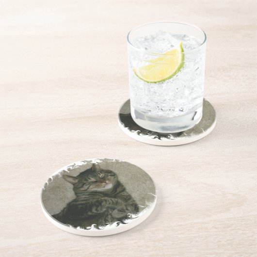 睡眠の虎猫の子猫猫のコースター コースター (側面)