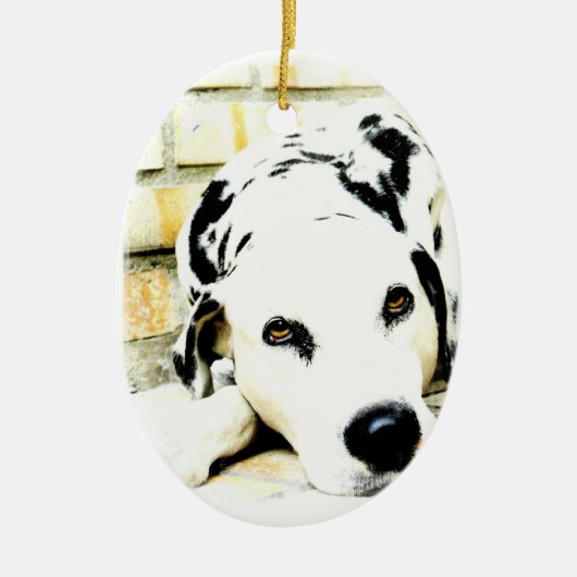 睡眠のDalmatianオーナメント セラミックオーナメント (正面)
