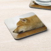 睡眠のShibaケン2 コースター (左側)