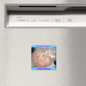 睡眠は評価を超えている… マグネット (インサイチュ (食洗機))