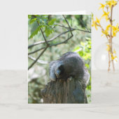 睡眠中のアライグマのグリーティングカード カード (黄色い花)