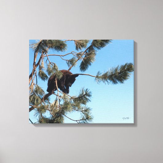 睡眠中のクマの子 キャンバスプリント (正面)